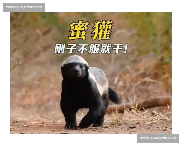 狭路相逢勇者胜!量子特攻战队出征,最强对决即将上演! 狭路相逢勇者胜!量子特攻战队出征,最强对决即将上演!